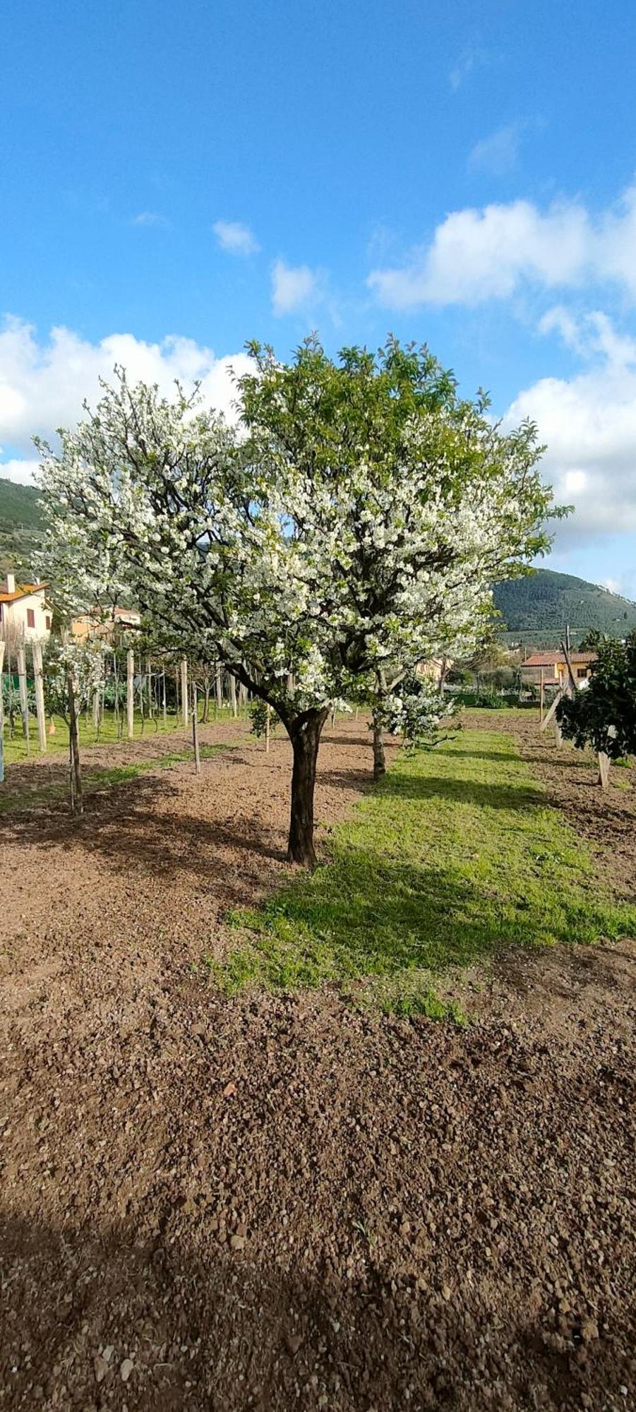 La Tenuta Di Eva Apartamento *