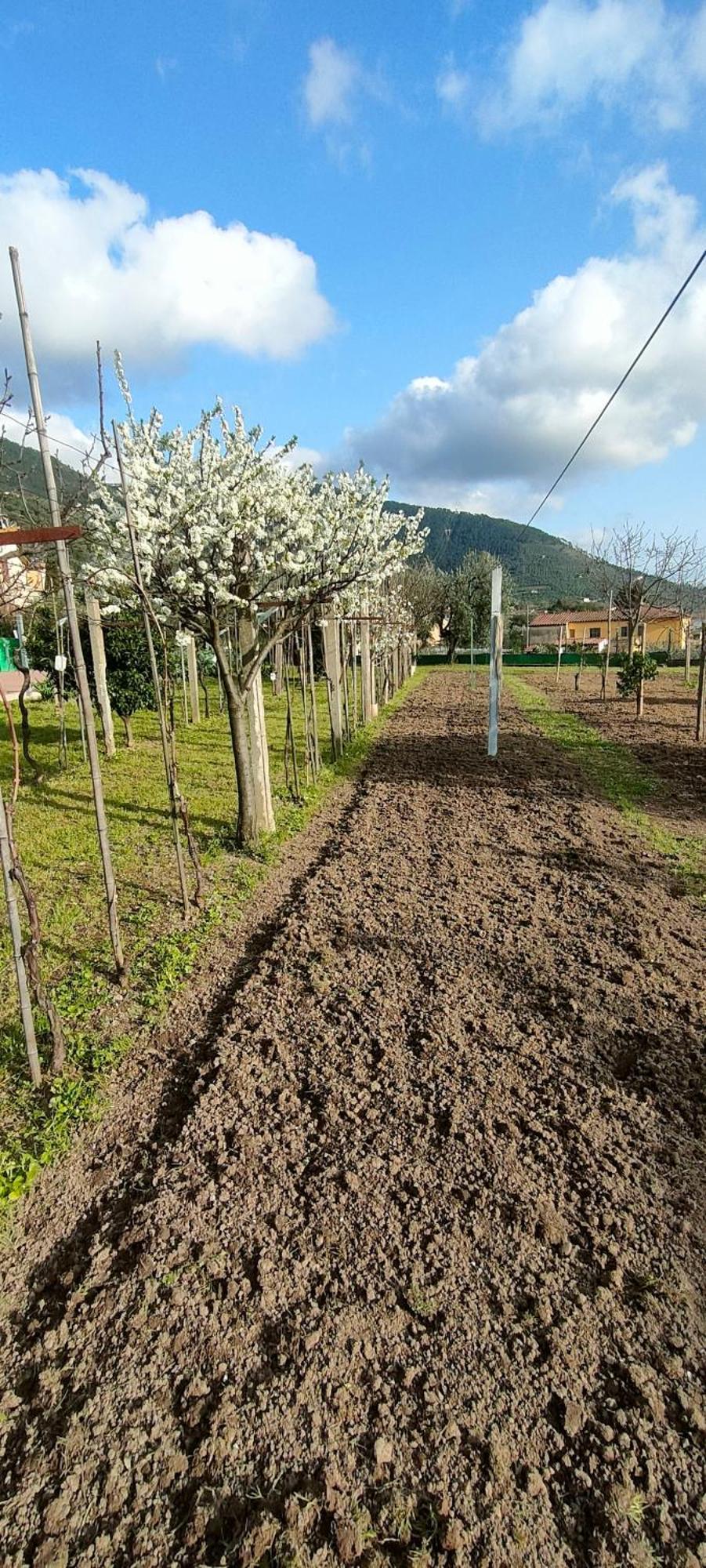 La Tenuta Di Eva Apartamento