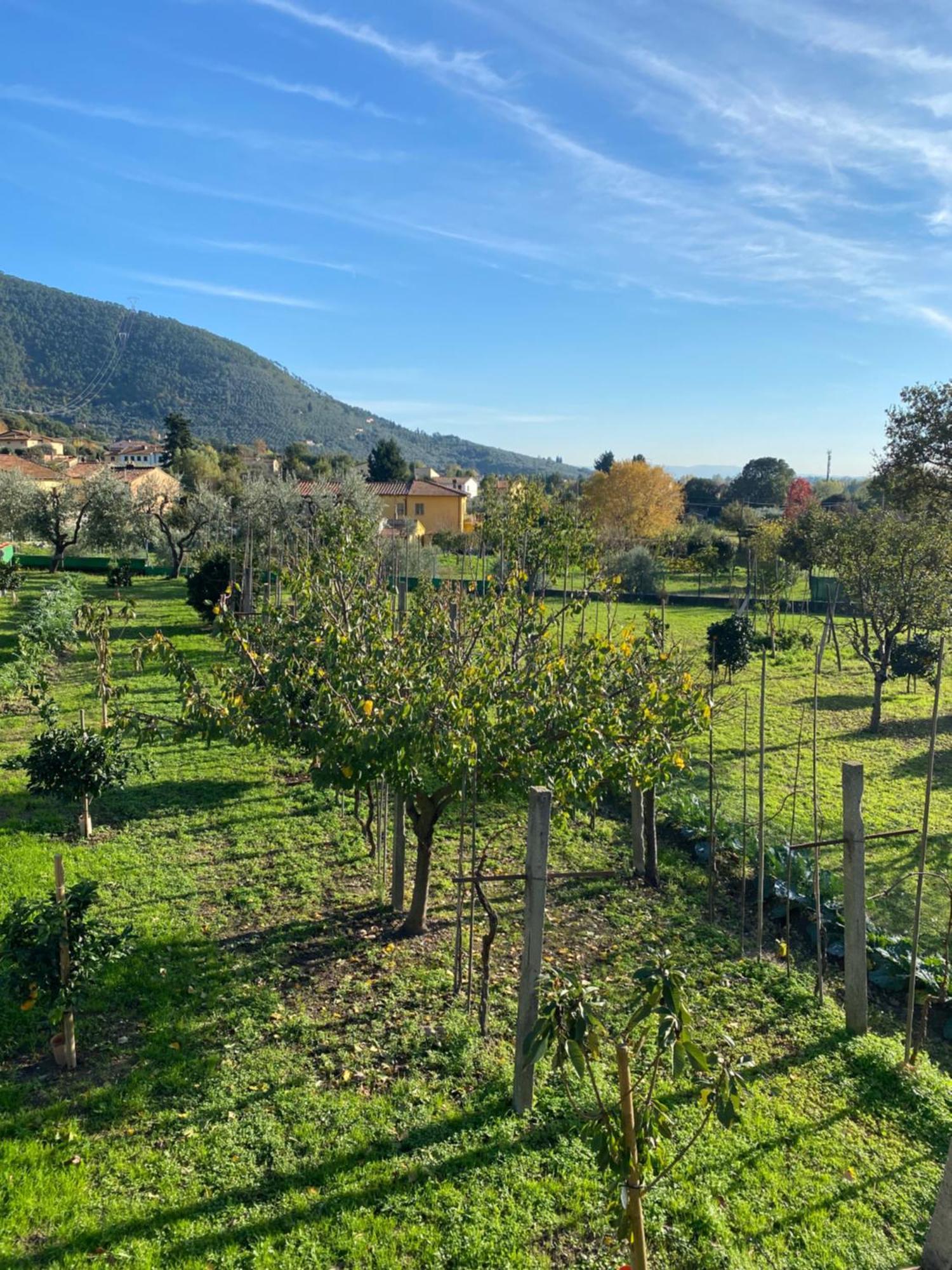 Apartamento La Tenuta Di Eva