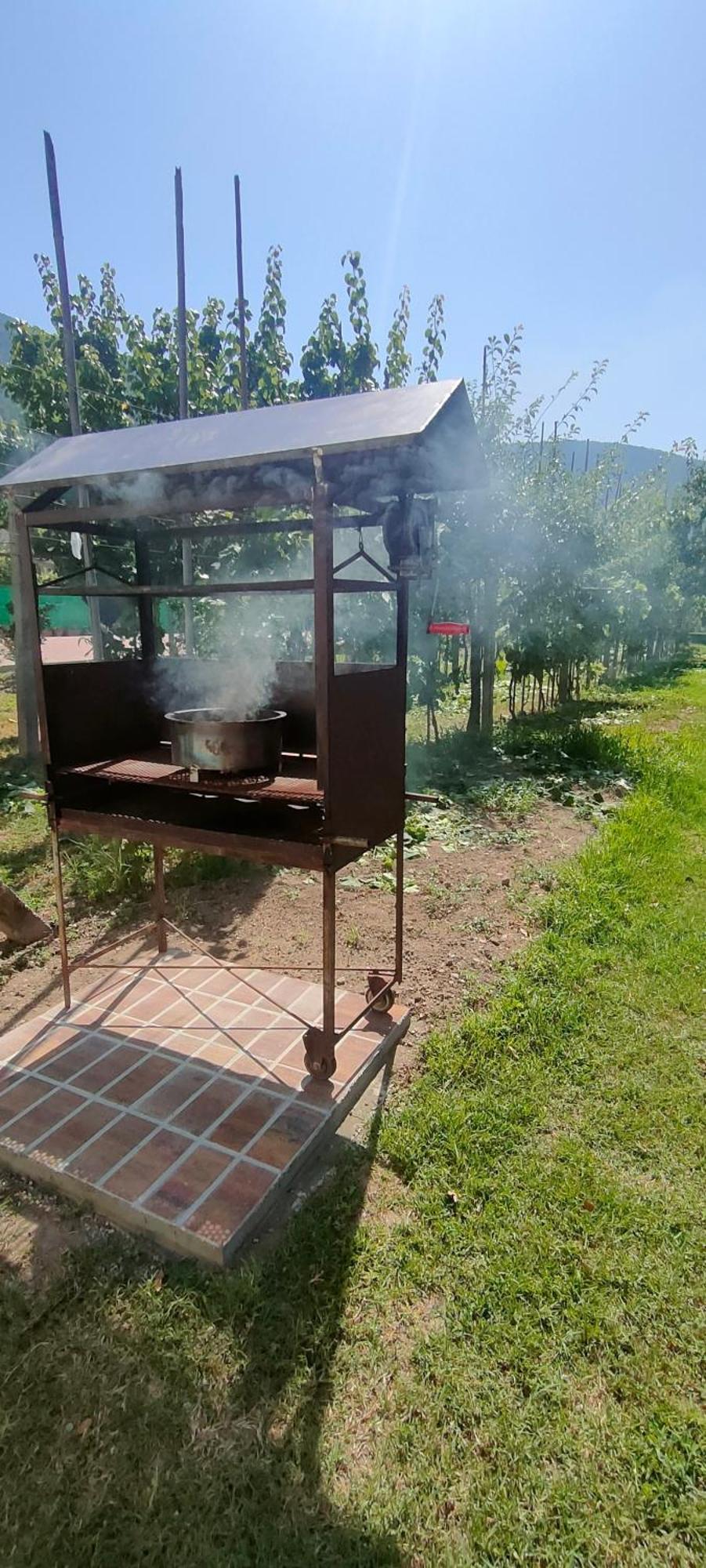 La Tenuta Di Eva Apartamento Pisa