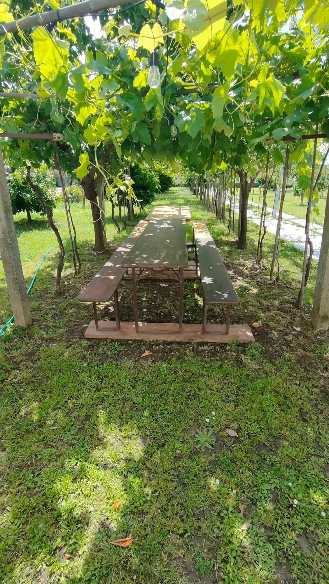 La Tenuta Di Eva * Pisa